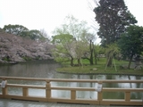 鶴岡八幡宮